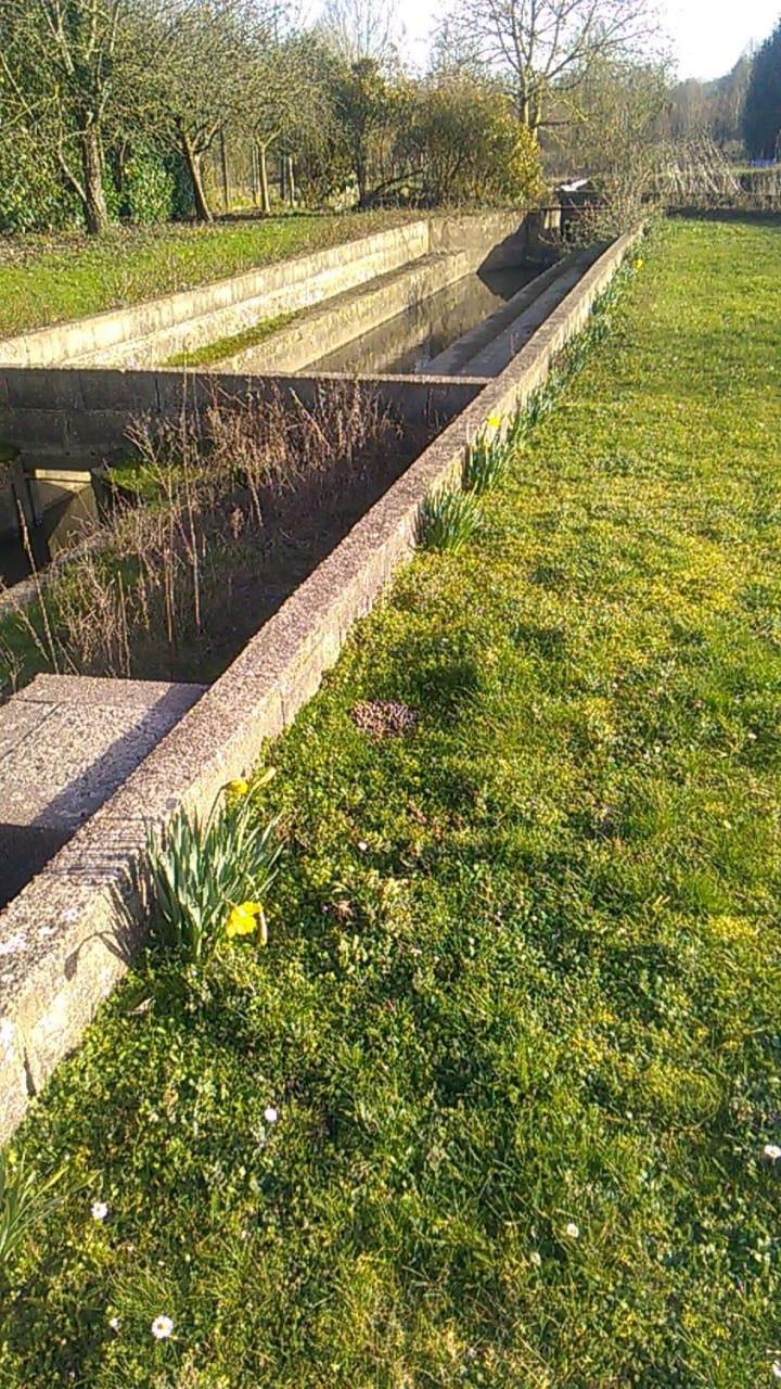 Gite Du Pont De Tancelle Préaux 外观 照片